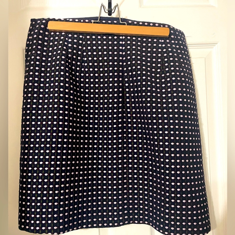 Ann Taylor Factor skirt